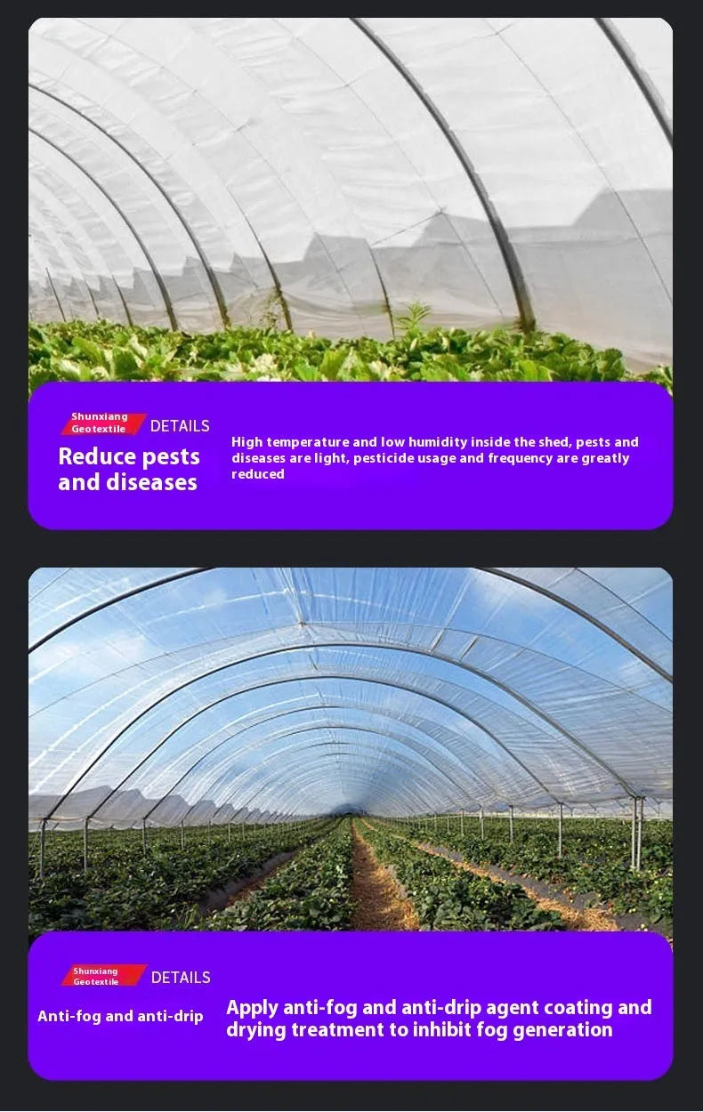 4x8 metre roll of translucent plastic greenhouse film for vegetable shed insulation.