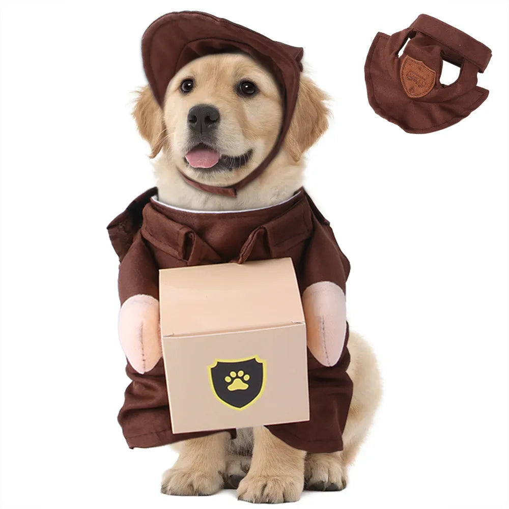 Pet dog wearing cartoon cowboy costume with hat, standing on grass