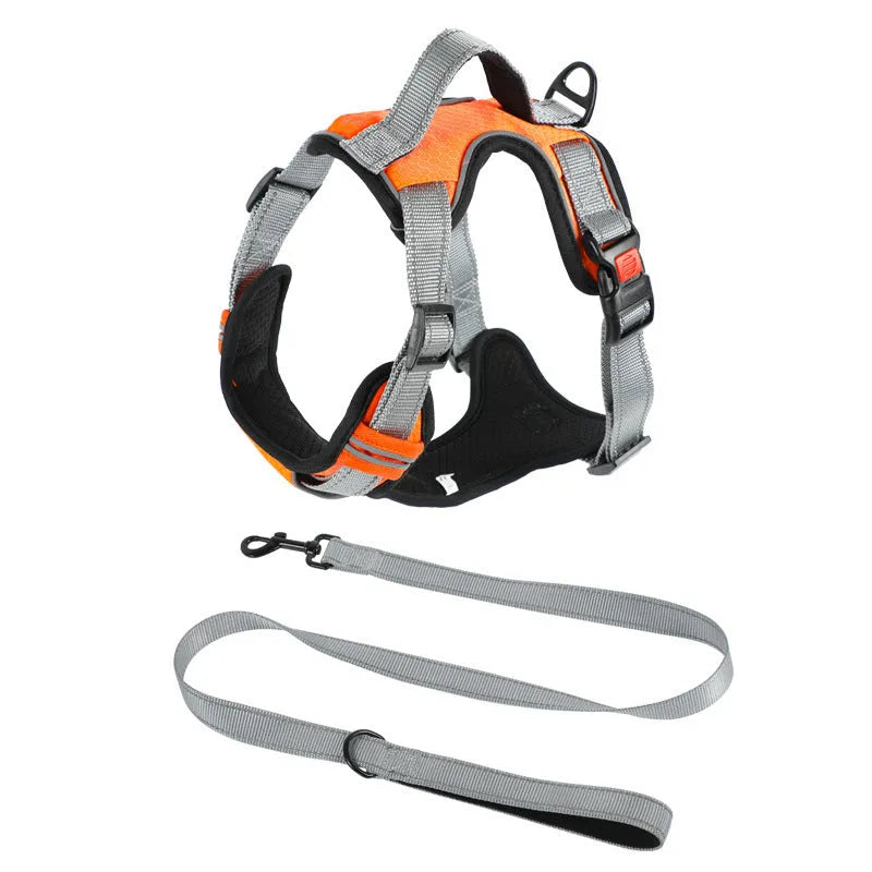 Polyester dog harness with integrated rope attachment points available in multiple colours and sizes