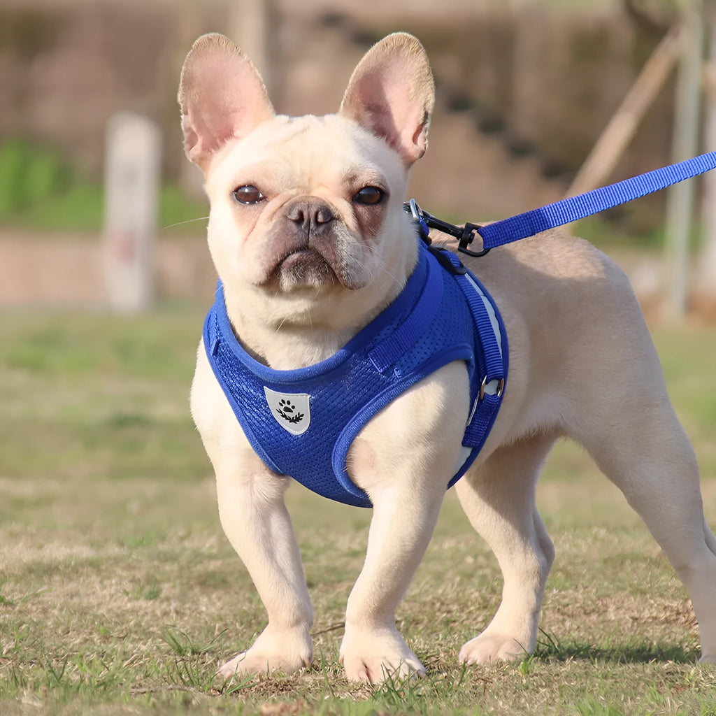 Polyester dog chest strap harness in red reflective small-hole colour, front view on white background