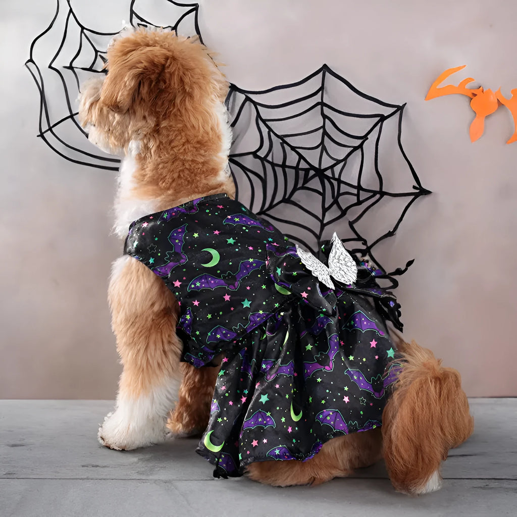 Angel wings Halloween dog costume in bright pumpkin colour showing wing design and size options