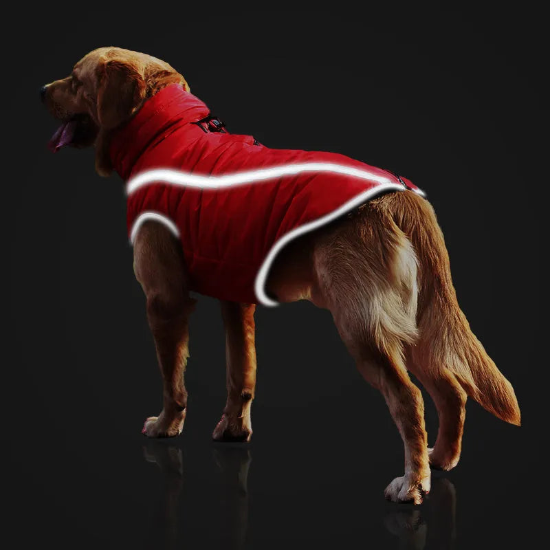 Thickened reversible polar fleece dog coat in blue for small to large dogs with windproof polyester shell