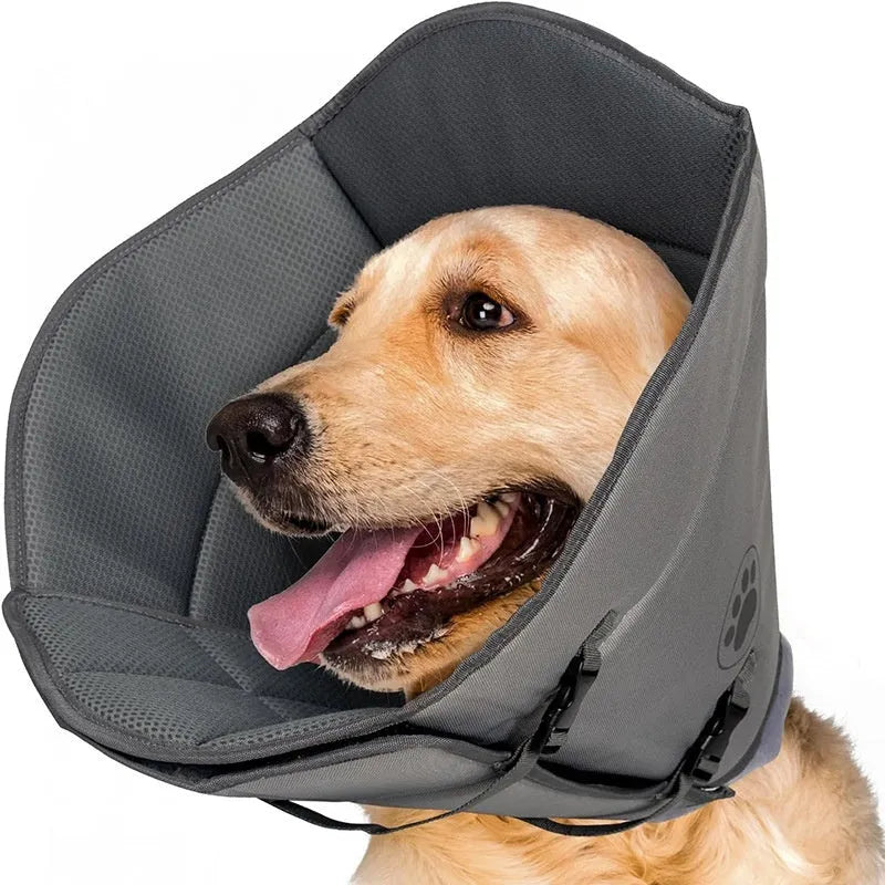 Adjustable polyester pet sterilization collar shown in single-layer and double-layer styles.