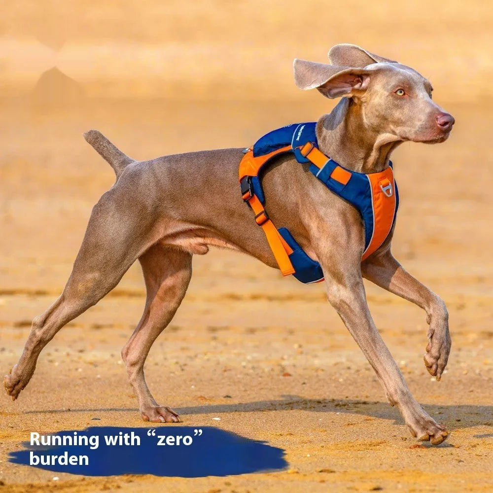 Orange-blue nylon dog chest strap vest style hand rope shown on size chart S M L XL.