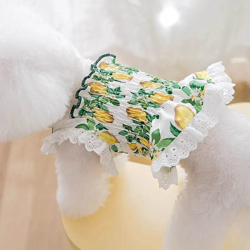 Rock yellow lemon polyester strap skirt dog dress for small dogs with breathable thin material