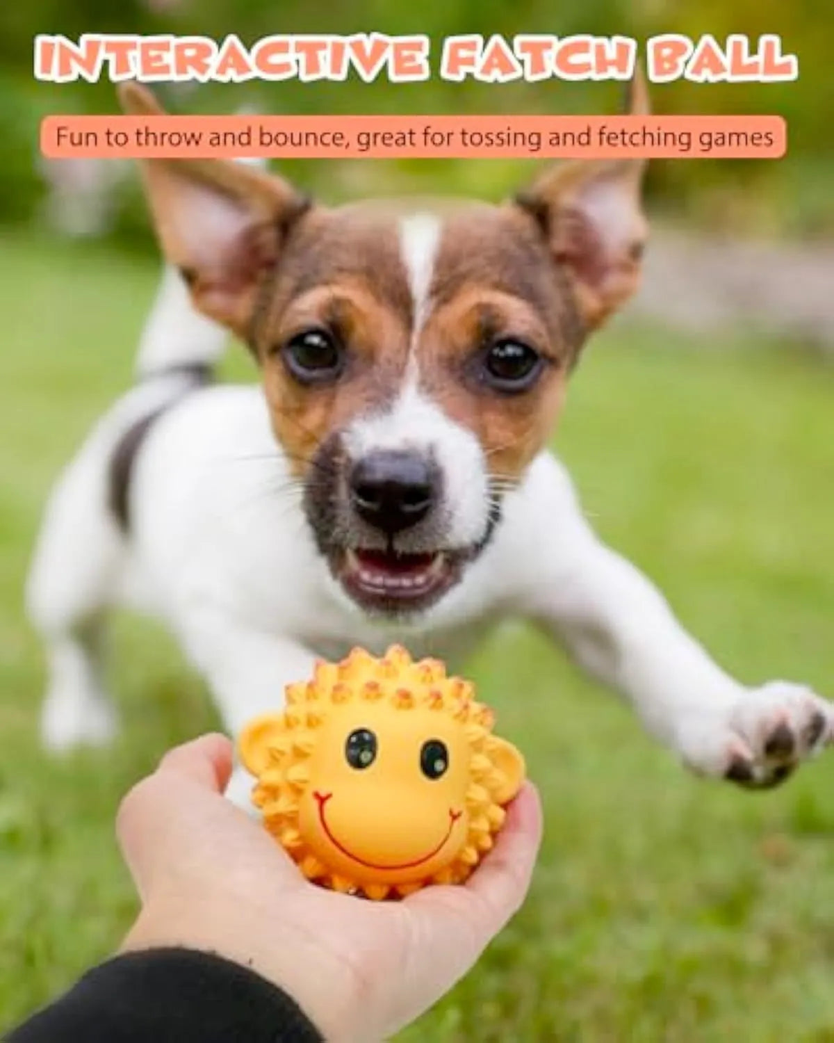 Orange and yellow spiky latex squeaky dog toy for small to medium breeds.