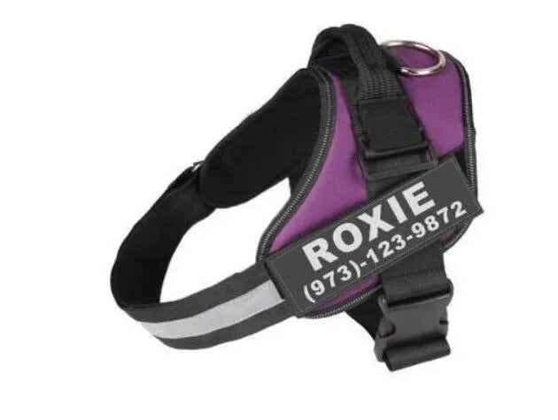 Reflective adjustable no-pull dog harness with chest strap and handle on a dog