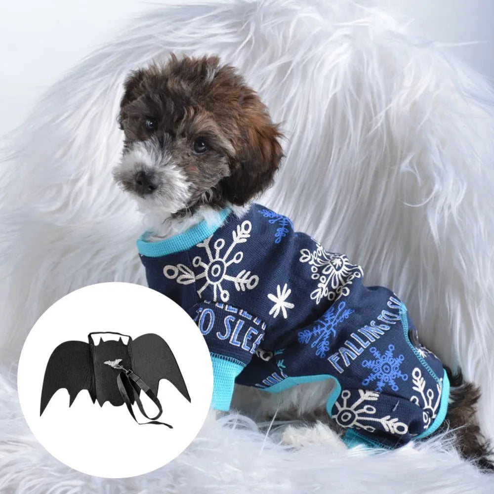 Black bat wing pet costume on dog, polyester felt fabric, Halloween outfit with wing shape
