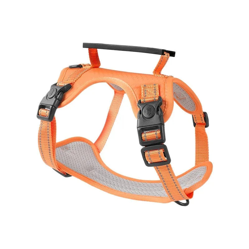Polyester dog harness chest strap lead set in multiple colours with adjustable fitting