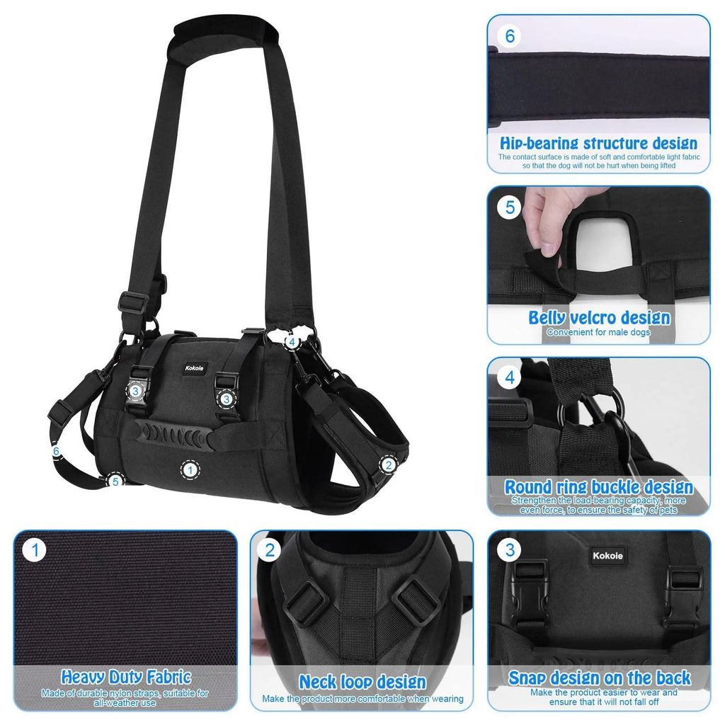 Black Oxford cloth dog harness with leg support and breast strap on medium-sized dog