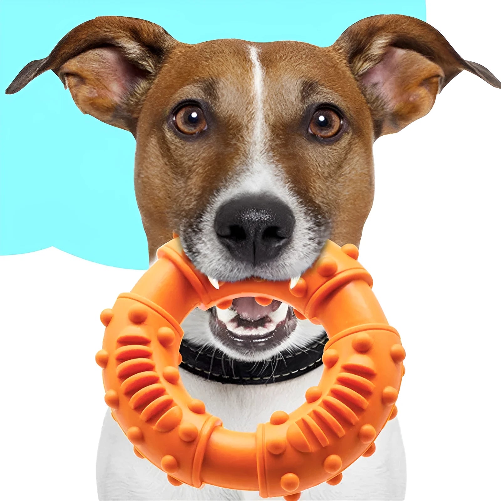 Lightweight hollow plastic dog fetching stick toy in blue colour for catch and fetch games