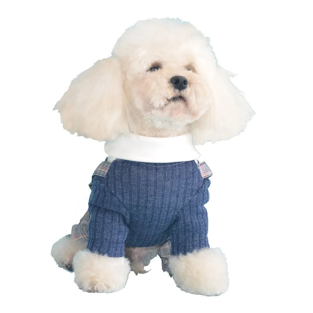 Cotton dog shirt suit for small pets in dark blue and orange colour options