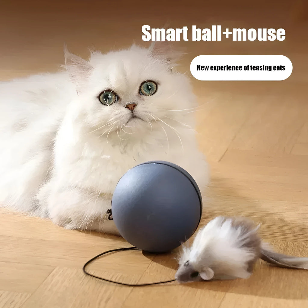 Blue orange automatic cat teaser ball with plush mouse attachment rolling on floor