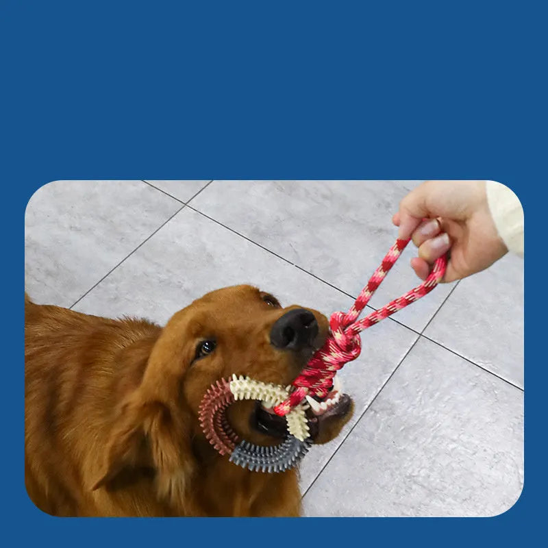 Colourful blue, red, and rose red braided rope dog chew and tug toy, 43 cm long.