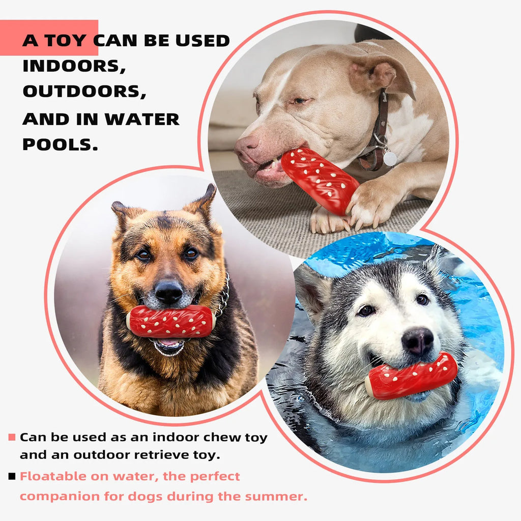 Primary colour plastic dog toy with a molar rod and glue toothbrush attachment for paste.