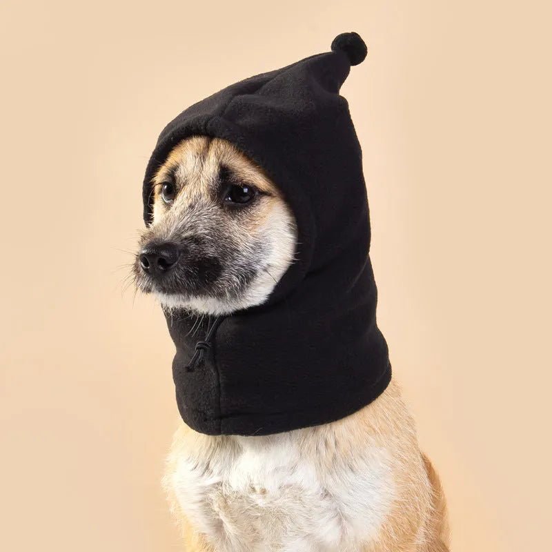 Pet wearing cloth headgear with animal ears in leopard print colour