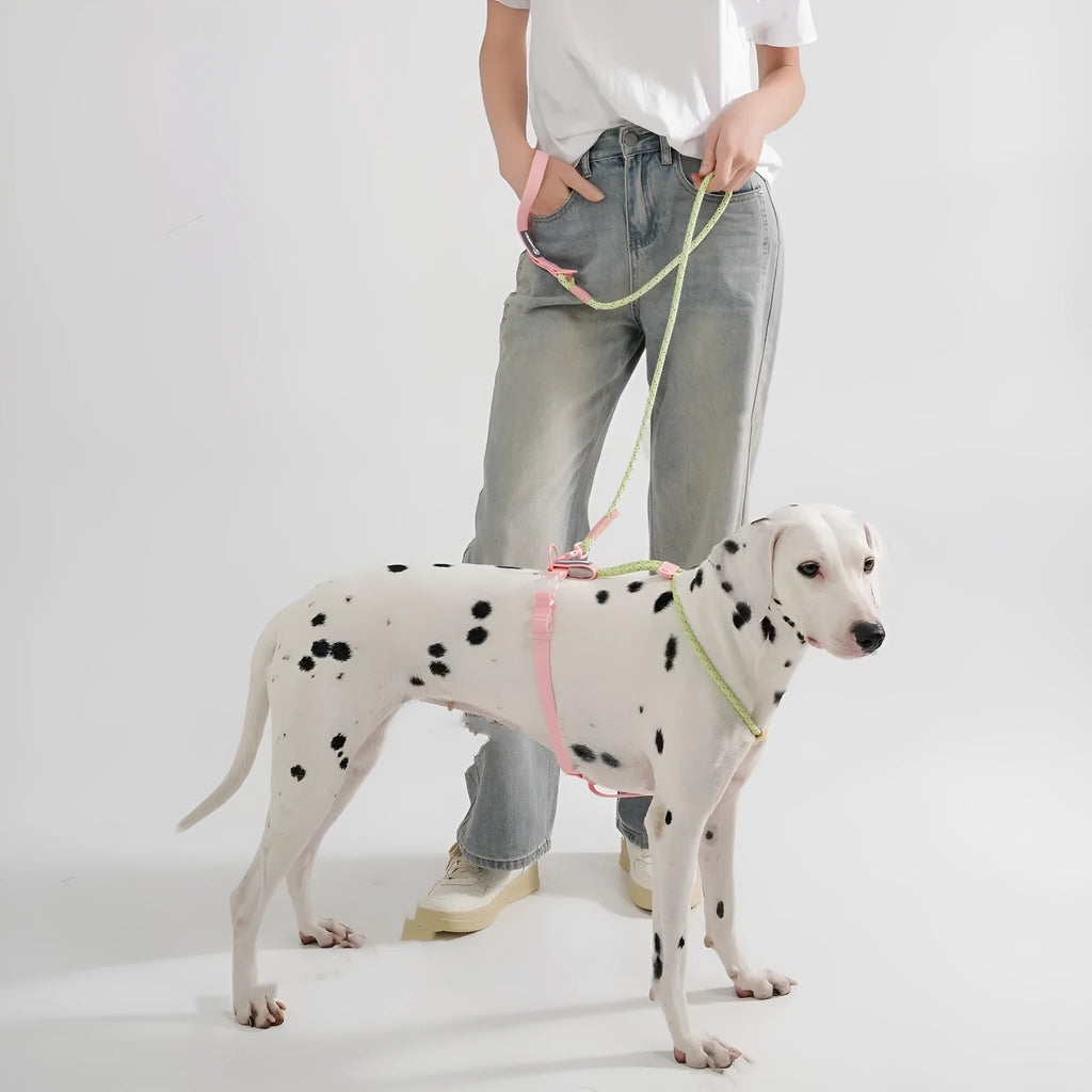 PVC solid colour dog leash with hand holding rope in dark red or taoyao green, 120cm length