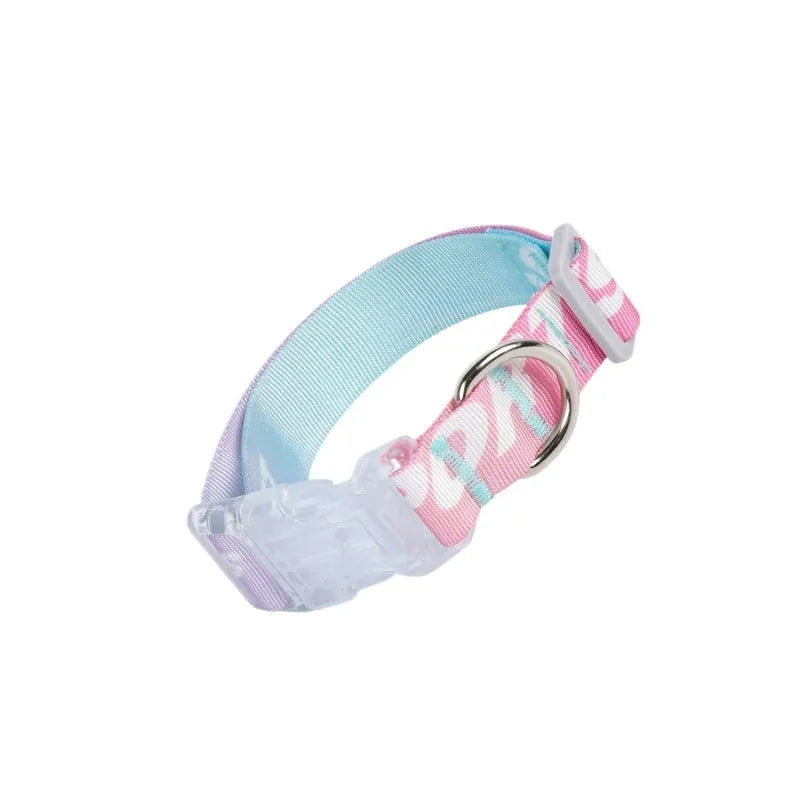 Nylon dog collar with cartoon gradient printing in gradient colour and panda green options