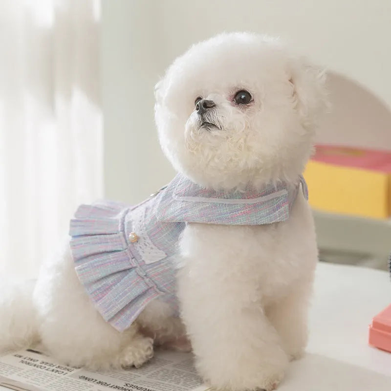 Purple and pink polyester pet clothes for small cats and dogs in four different sizes