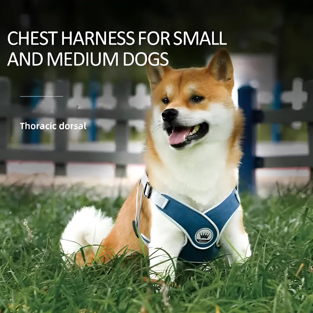 Adjustable mesh dog harness with reflective chest strap in multiple colour options