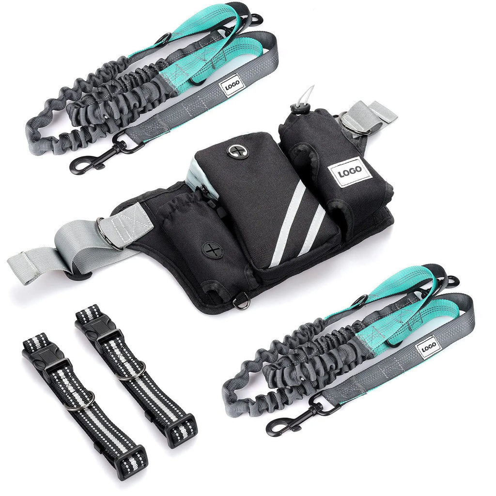 Black nylon dog walking waist bag and leash set for outdoor pet training
