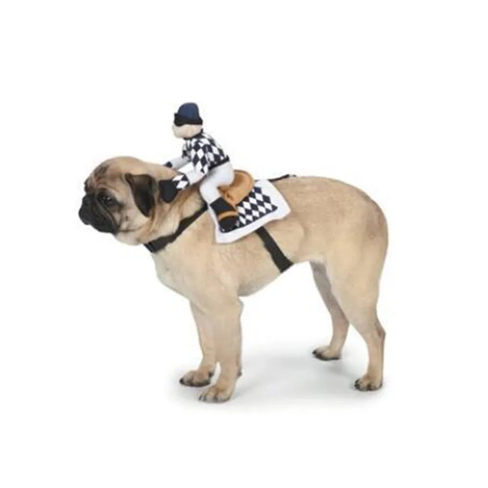 Pet dog wearing cartoon cowboy costume with hat, standing on grass