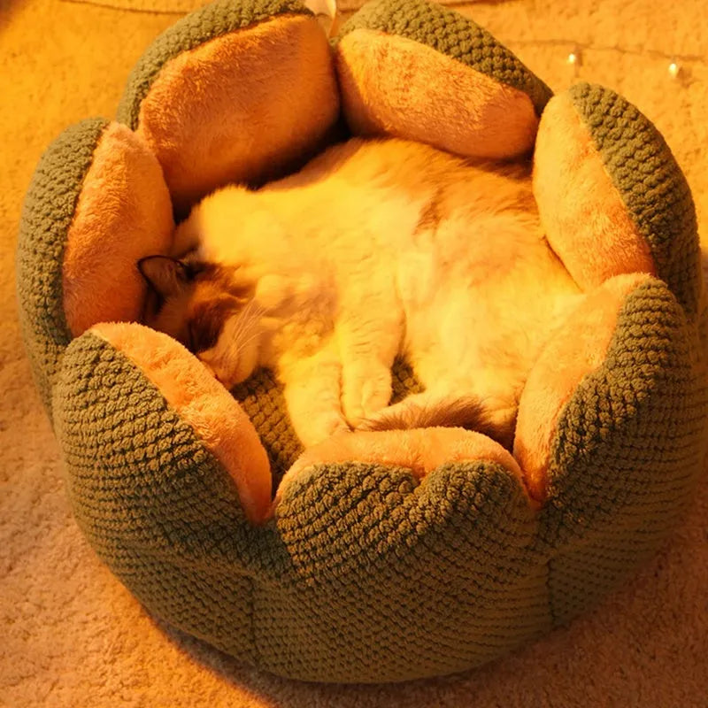 Green cactus petal shape plush kennel bed for cats and small dogs on a hardwood floor.