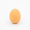 Plastic simulation egg dog toy with sound feature for teeth cleaning and interactive play
