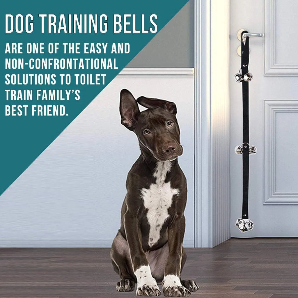 Adjustable dog training doorbell with 7 silver metal bells on nylon leash