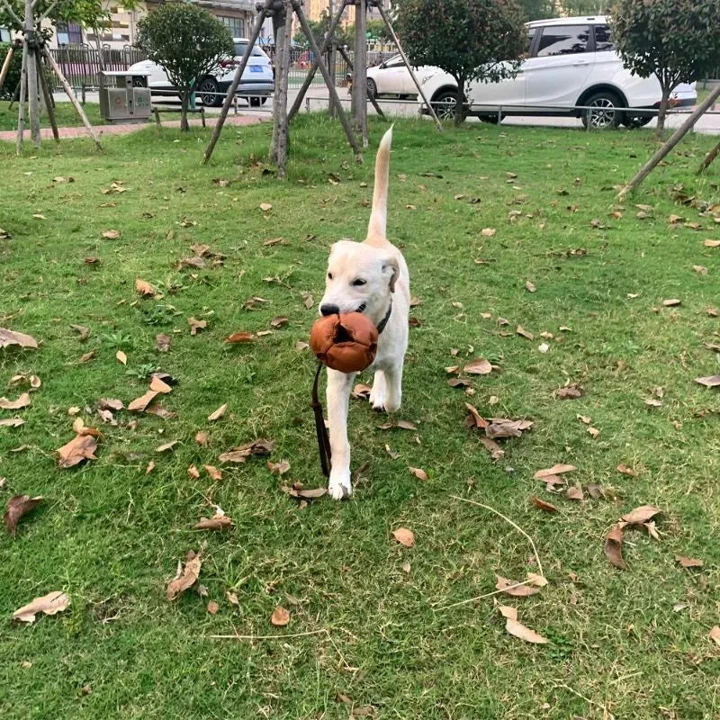 Leather dog training ball toy with handle, soft bite ball for puppy reward, tug toy for obedience training, colourful dog ball