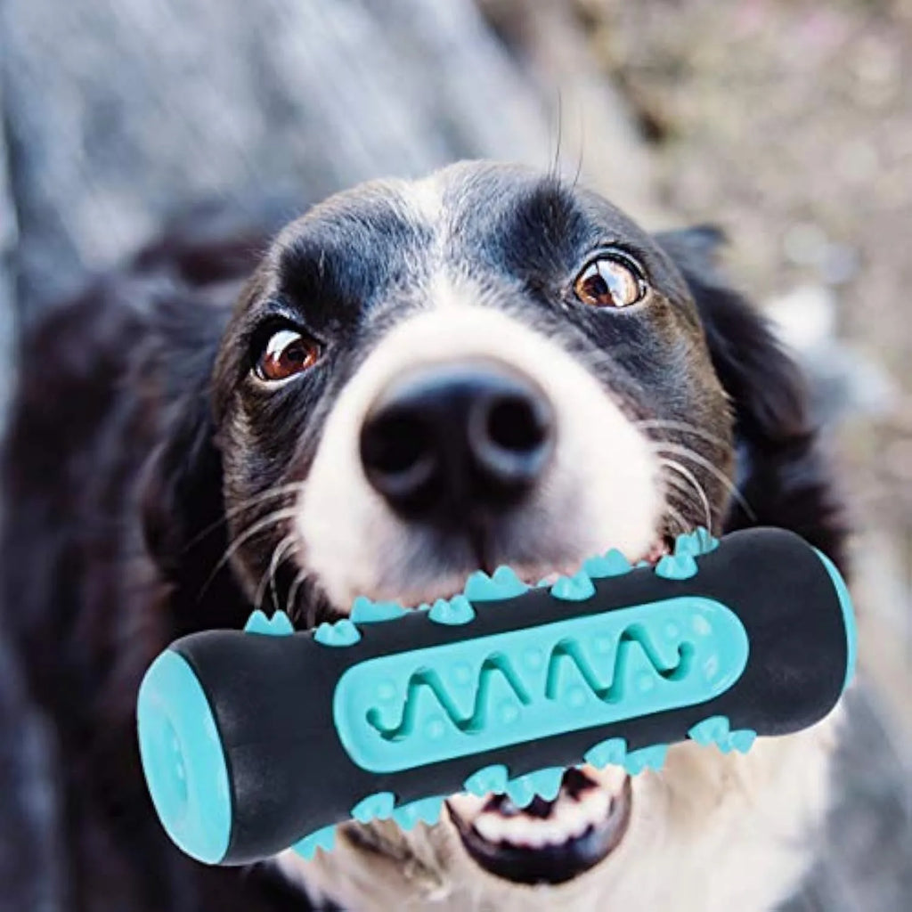 Natural rubber dog toothbrush chew toy in blue colour for dental cleaning, 15cm long.