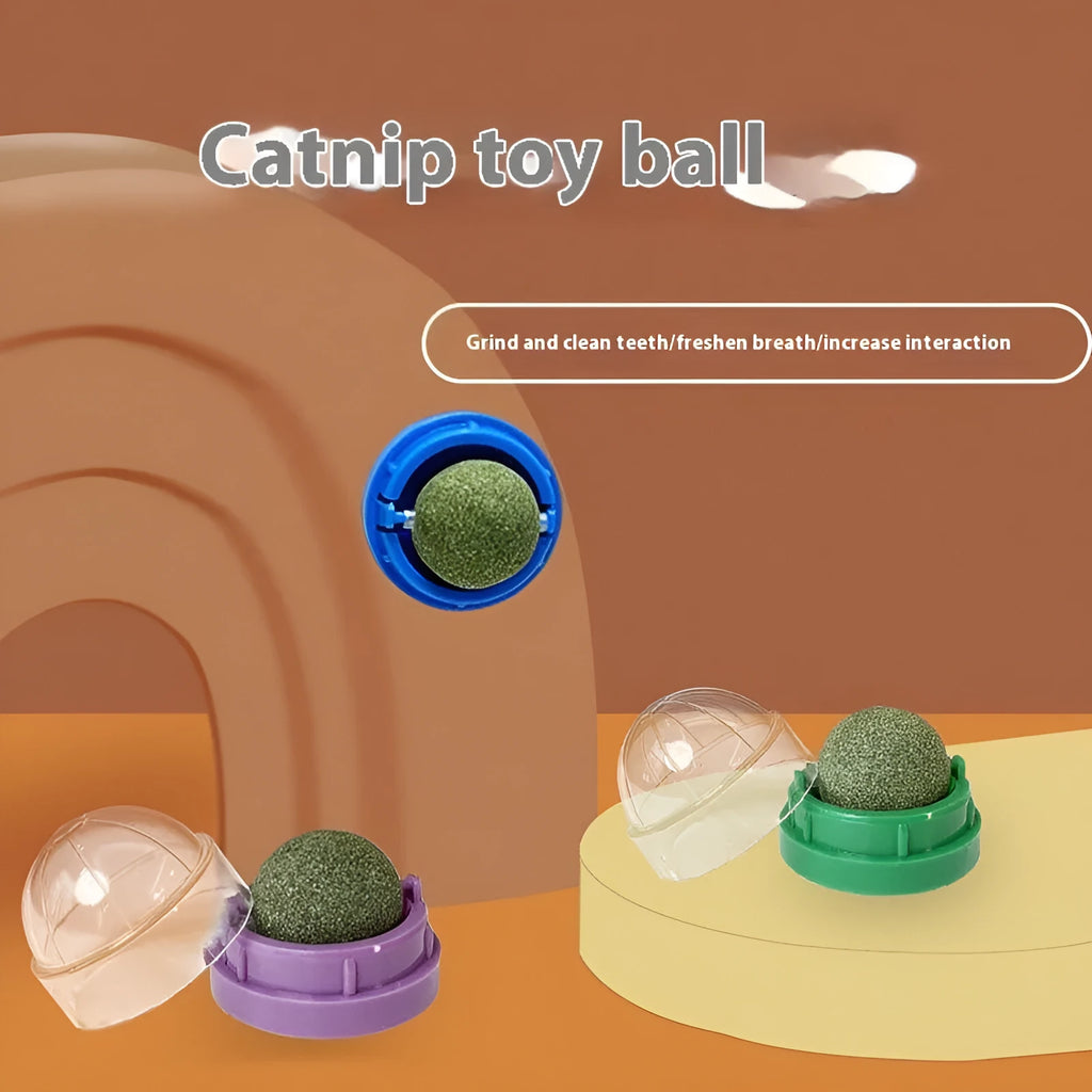 Plastic catnip ball toy in assorted colours with a textured surface for feline teeth cleaning.