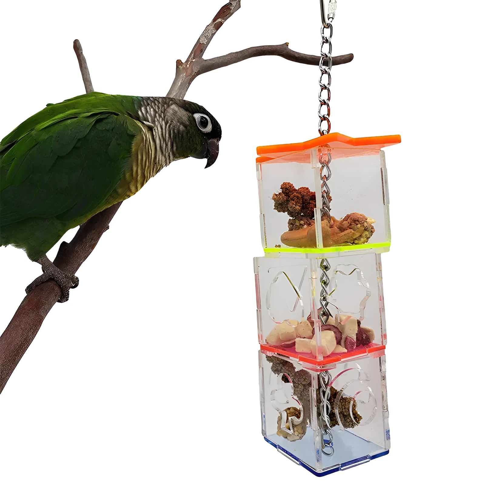 Transparent acrylic parrot foraging toy, 32 cm tall food container for bird nuts and fruit.