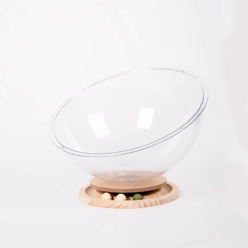 Transparent acrylic cat space capsule bed with enclosed design.
