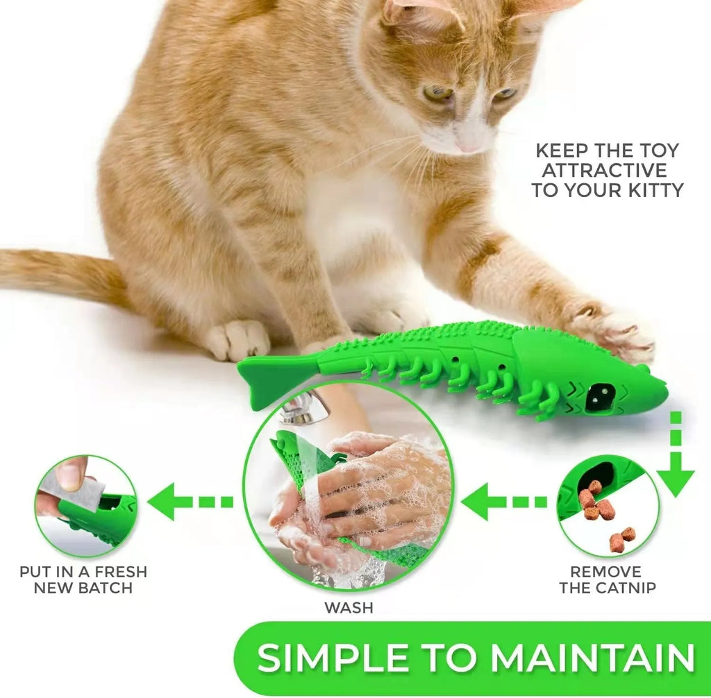 Blue hard rubber catnip toy with textured dental cleaning surface and bell inside
