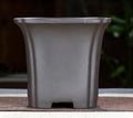 Purple clay orchid pot, classical square shape, 15.5 cm width, 13.8 cm opening, 14 cm height, fine pottery