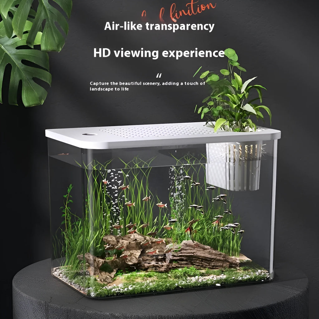 Black and white plastic betta fish tanks with lids, showing compact rectangular design.