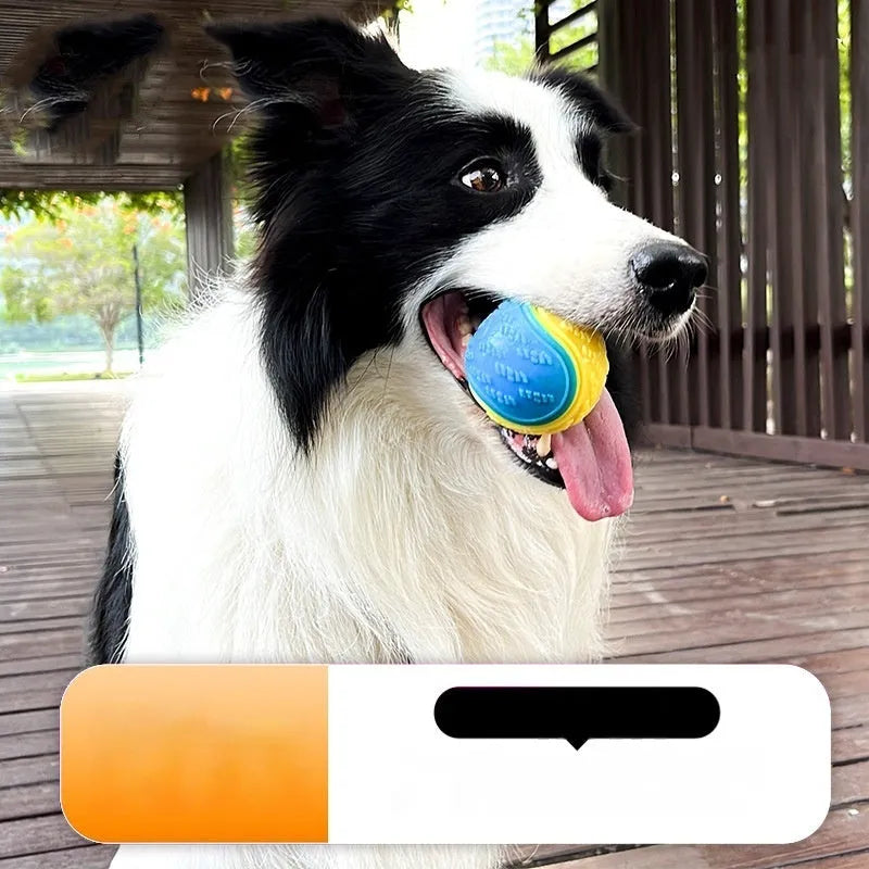 Red and blue TPR rubber dog training ball with squeaker, 6.5cm in diameter