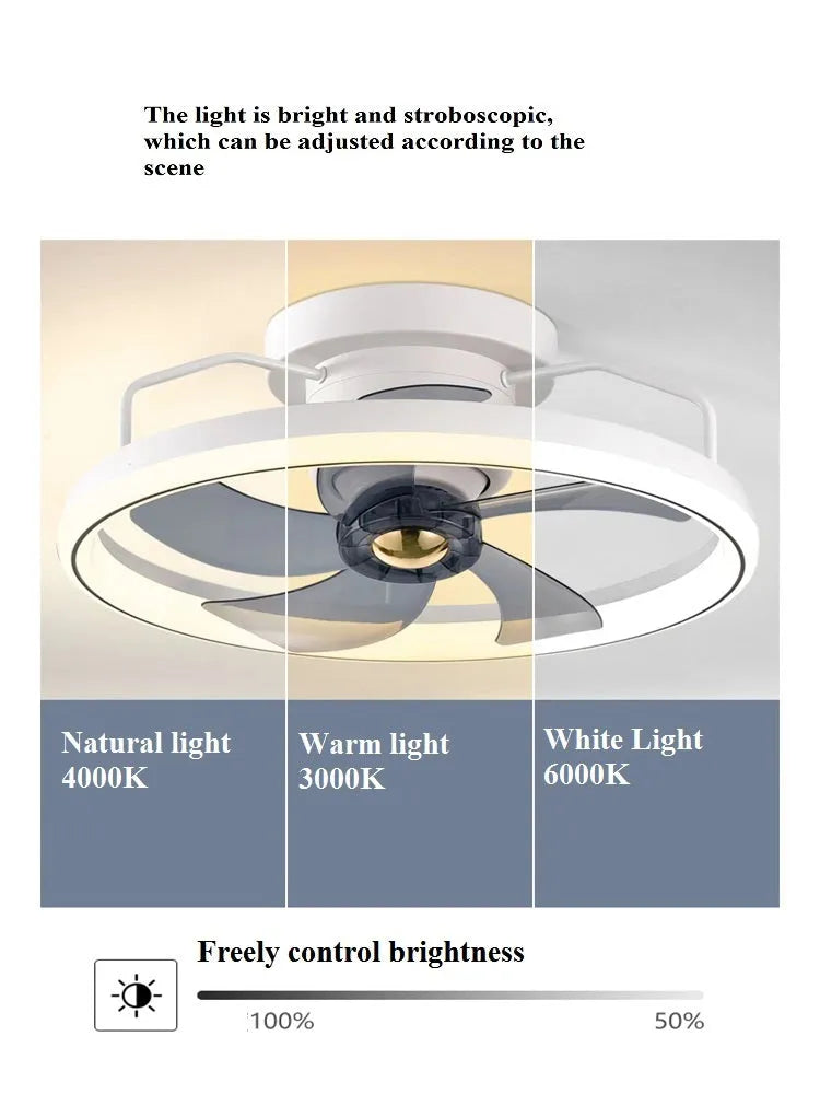Modern ceiling fan light with white PC blades and acrylic lampshade showing 500mm diameter