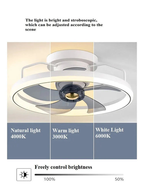 Modern ceiling fan light with white PC blades and acrylic lampshade showing 500mm diameter