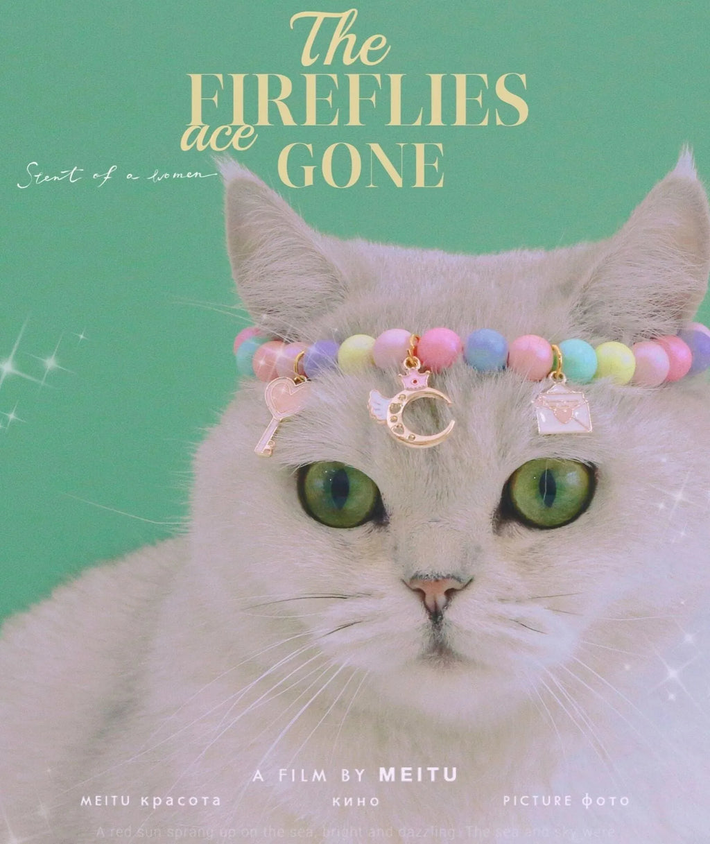 Colourful macaron charm pet collar and matching bracelet set in resin on a white background.