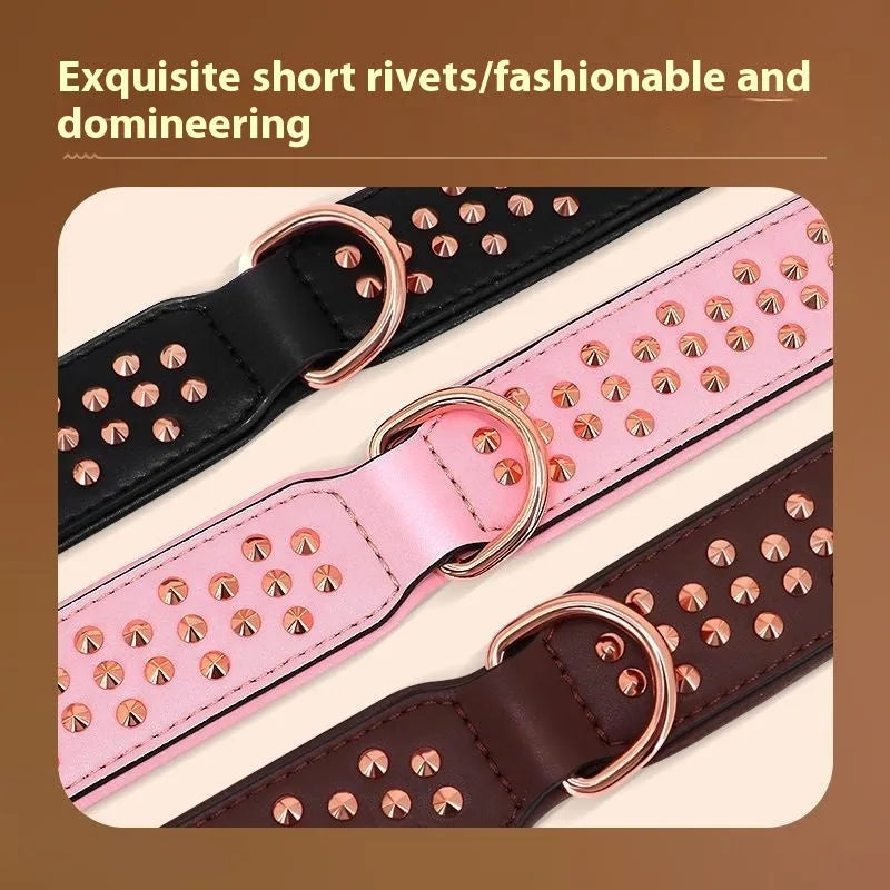 Leather dog collar with a line of metal anti-bite rivets, shown in chocolate brown colour.