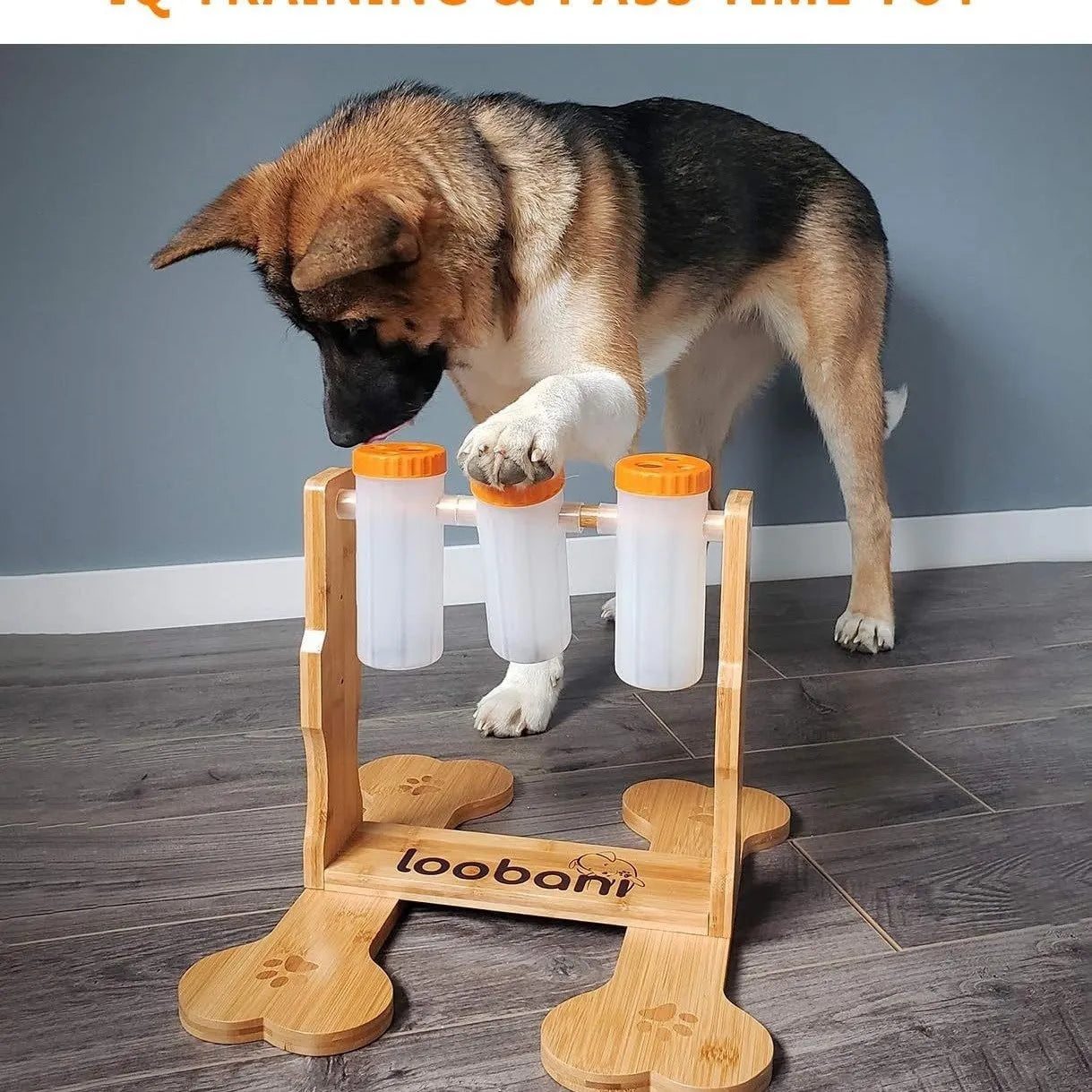 Wooden dog puzzle toy snack dispenser feeder with treat compartments.
