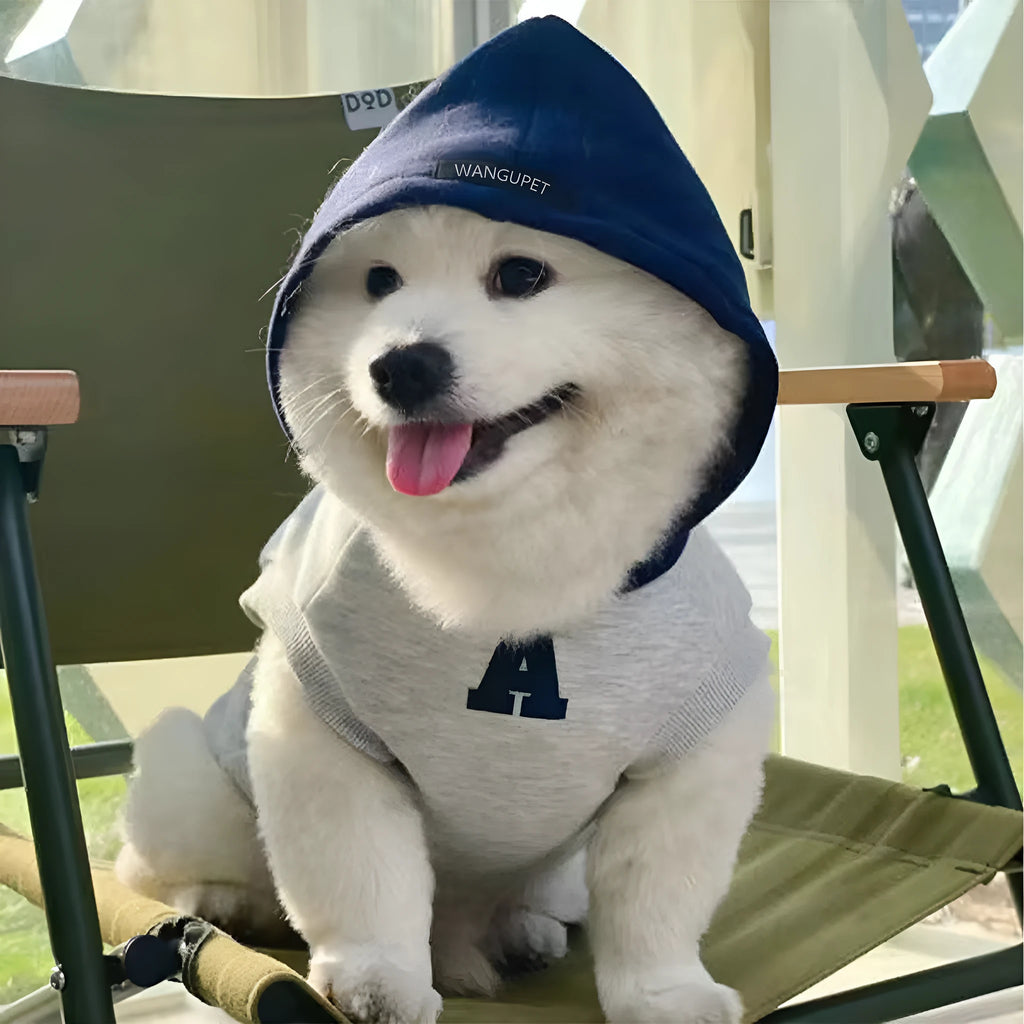 Blue and grey-white reflective letters pet hoodie for dogs and cats on mannequin