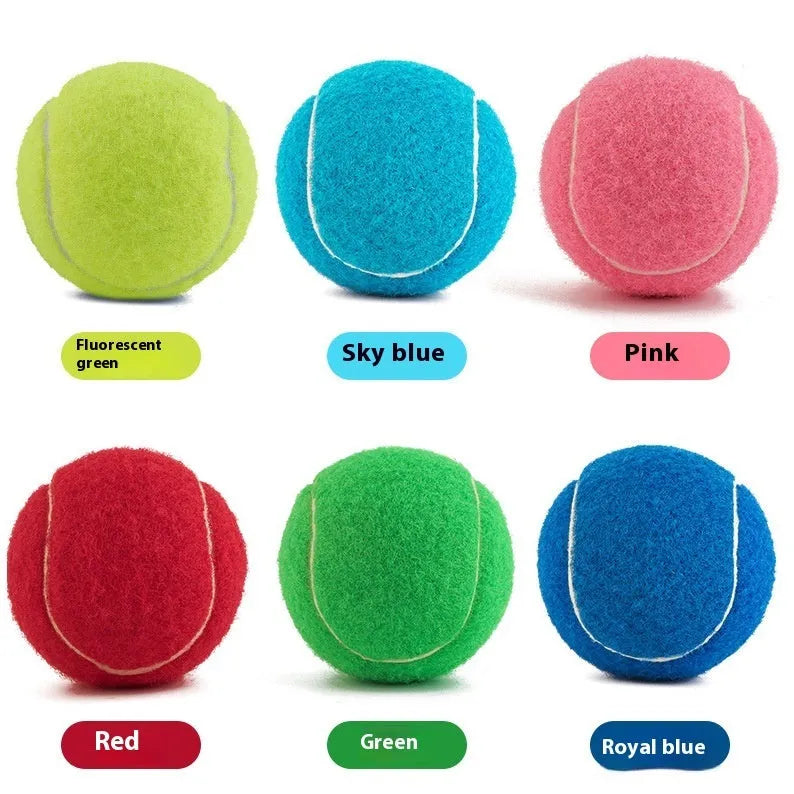 6.3 cm rubber tennis ball for dogs in assorted bright colours including pink, blue, yellow, green and orange