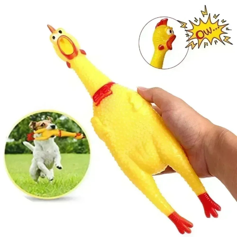 Yellow rubber screaming chicken dog squeak toy in three different sizes.
