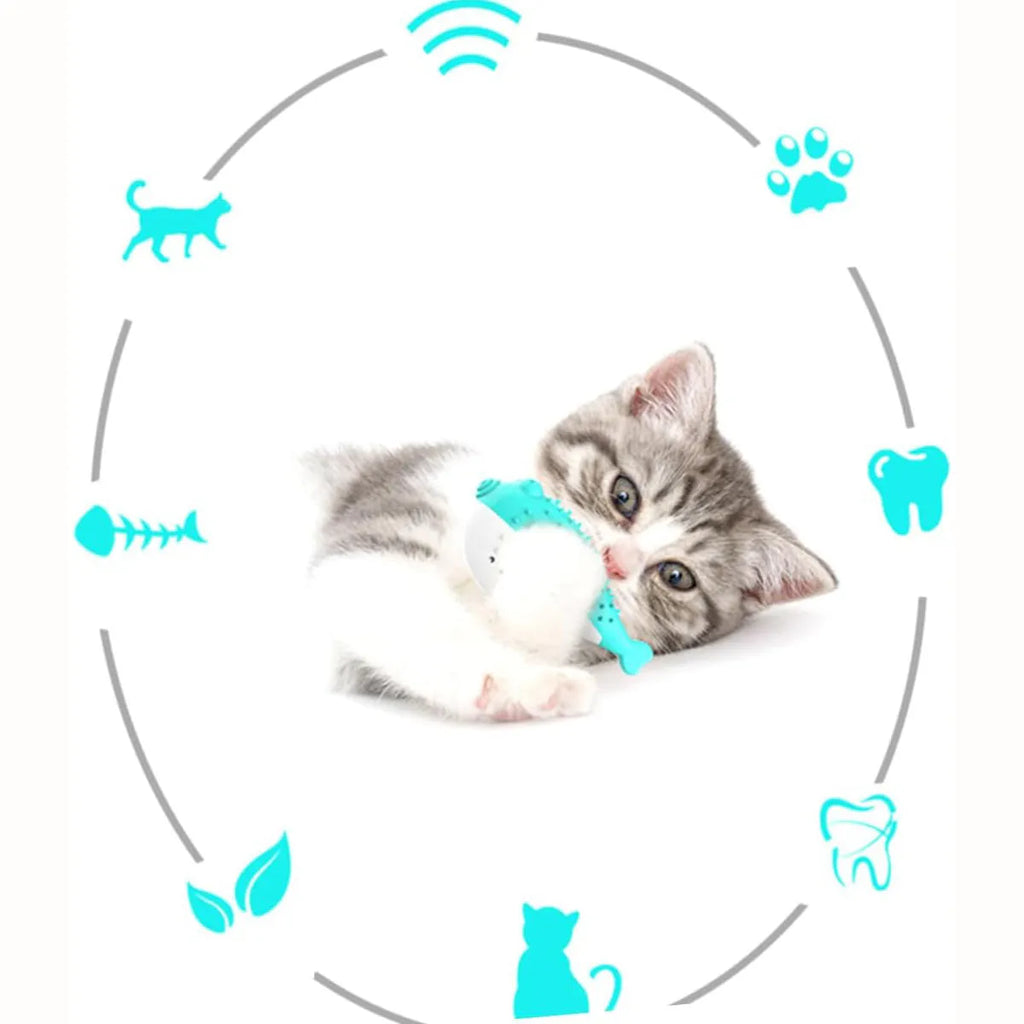 Mint Toys blue silicone fish-shaped cat chew toy and teaser on a white background.
