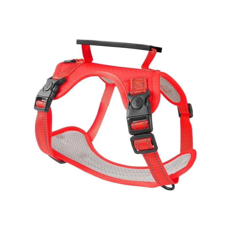 Polyester dog harness chest strap lead set in multiple colours with adjustable fitting