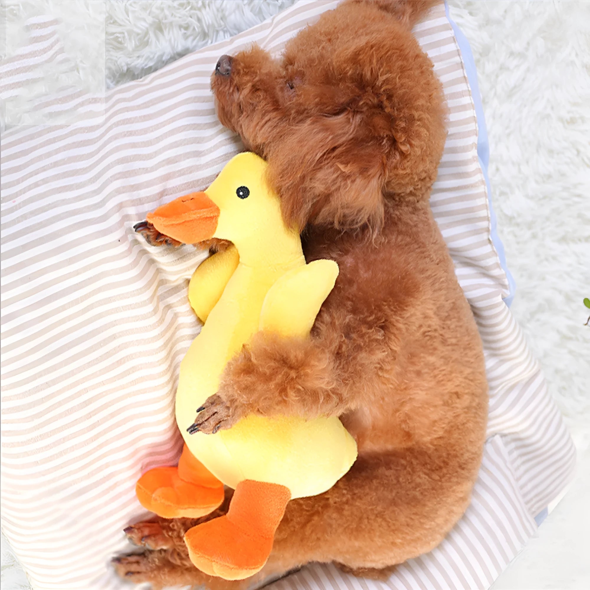 Yellow dog plush toy with cute eyes and sound function from Huayuan Pet