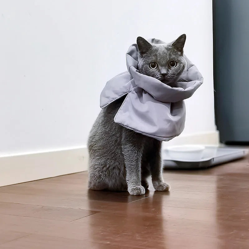 Adjustable soft cat cone collar in light blue protecting wound while allowing eating access